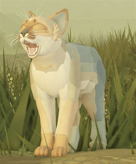 Pin By Junebug On Morph Inspiration In 2023 Warrior Cats Fan Art