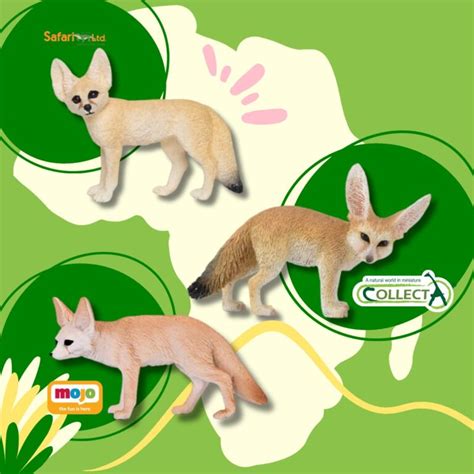 Le Fennec Renard Des Sables D Couvrez Ce Survivant Du D Sert