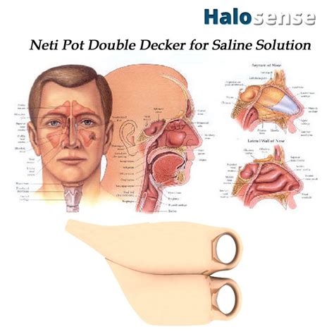 Neti Pot Double Decker For Saline Solution Halosense Salt Therapy