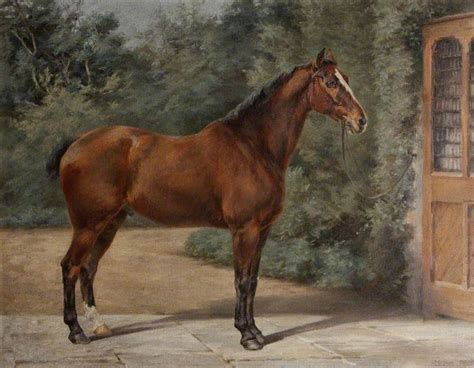 Bay Horse | Art UK