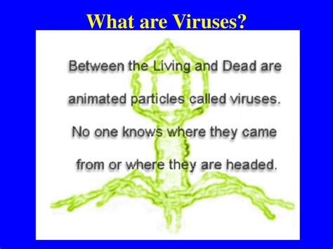 Ppt Biodiversity I Biol What Are Viruses Powerpoint