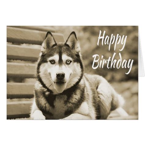 Husky Cards Greeting And Photo Cards Zazzle