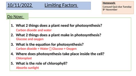 Photosynthesis Limiting Factors Teaching Resources