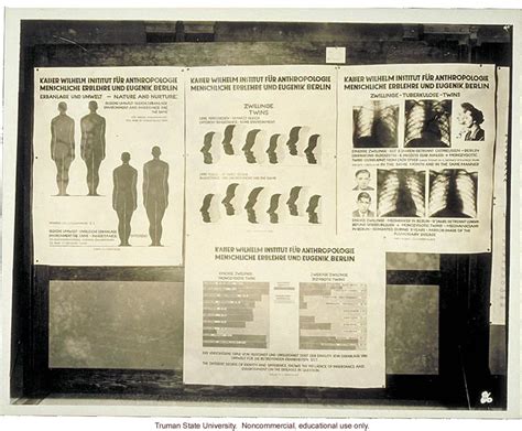 Kaiser Wilhelm Institute Twin Study 3rd International Eugenics