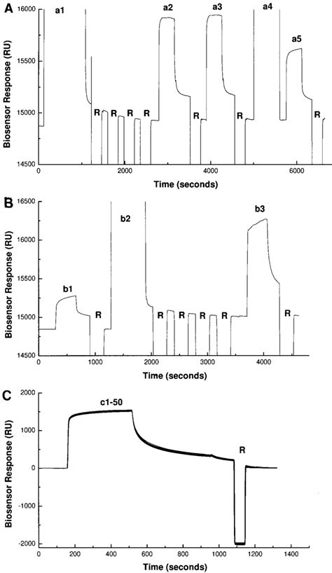 A Hydrophobic Immobilization Of Gd3 Onto Cm5 Sensor Chip A1