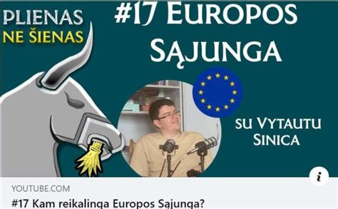 Kam Reikalinga Europos S Junga Vytautas Sinica Tiesos Lt