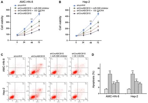 Circular Rna Abcb10 Contributes To Laryngeal Squamous Cell Carcinoma