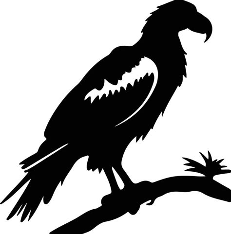 vulture black silhouette 38103418 Vector Art at Vecteezy