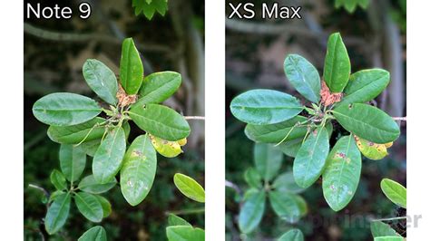 Photo Smackdown Iphone Xs Max Versus Samsung S Galaxy Note