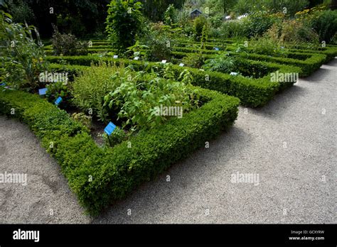 Garden In The Hortus Botanicus Amsterdam Holland Netherlands Europe