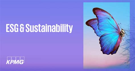 Esg And Sustainability Insights Kpmg Luxembourg