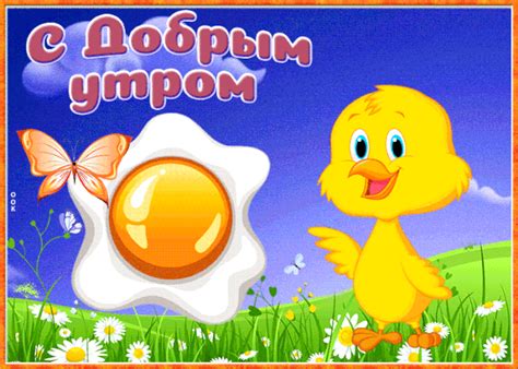 Смешные картинки Доброе утро