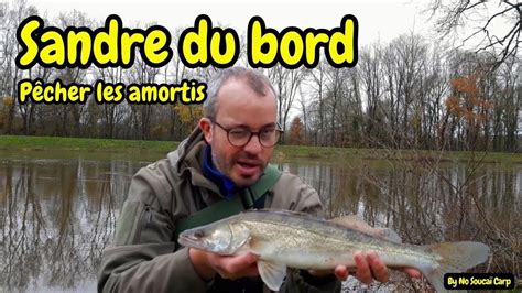 Sandre Du Bord P Cher Les Amortis Youtube