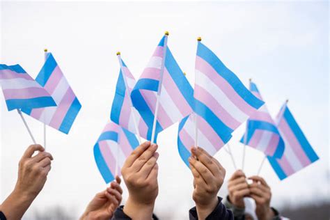 International Transgender Day Of Visibility 2023 Beech Acres