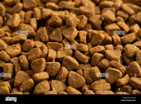 Dry dog food Stock Photo - Alamy