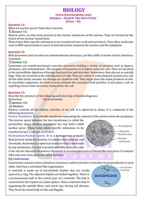 Ncert Solutions For Class Biology Chapter Cell The Unit Of Life