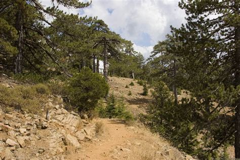 Troodos - Cyprus - Blog about interesting places