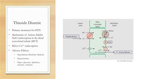 Ppt The Use Of Thiazide Diuretics In Preventing Osteoporotic