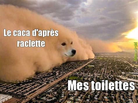 Les Meilleurs Mèmes Caça Memedroid