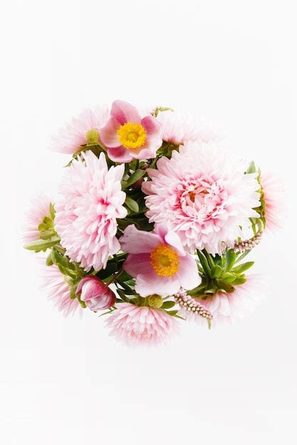 Premium Photo Blooming Beautiful Pink Flower Isolated On White Background