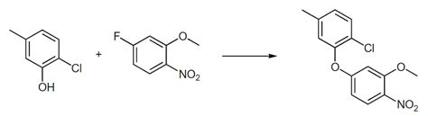 Nucleophilic Aromatic Substitution Chemistry Optional Notes For Upsc