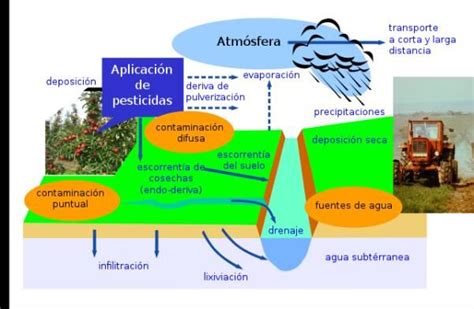 ContaminaciÓn De Las Aguas SubterrÁneas Causas Y Consecuencias Resumen