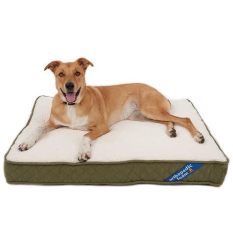 Top Paw® Orthopedic Pet Bed (COLOR VARIES) – Happy Paws Dog Store