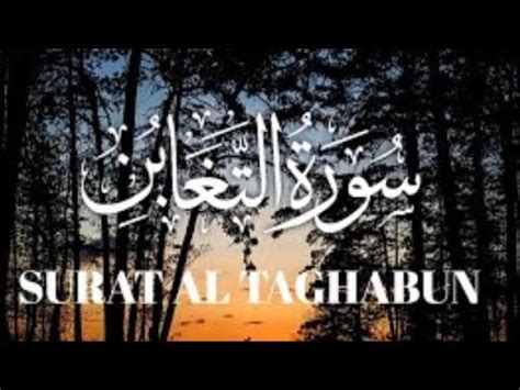 Surah Al Taghabun Quran Recitation Recited By Hafiz Shahid