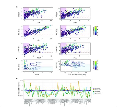 Nk Cell Specificity Filtration Against Immune And Crc Supportive Cell