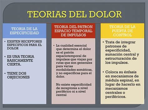 Teorias Del Dolor Javier Castillo Udocz