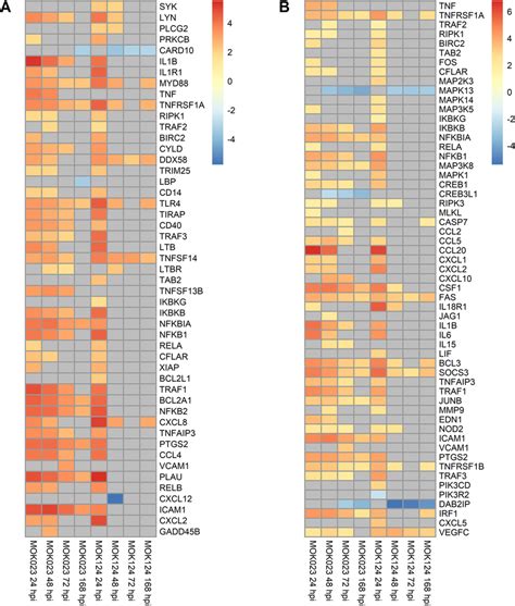 Log Fold Change Of Genes Involved In Selected Kegg Pathways In Response