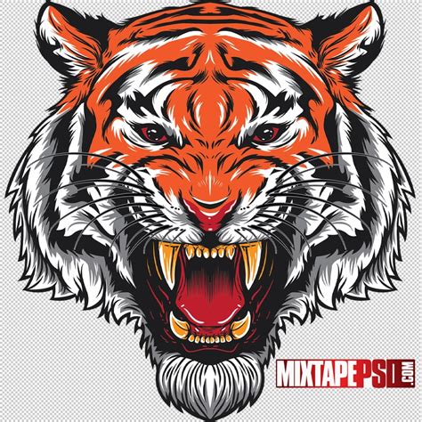 Tiger Vector Png