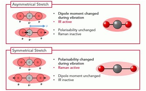 Infrared Or Raman Spectroscopy