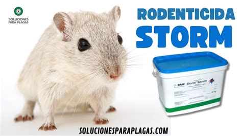 Rodenticida Raticida Veneno Para Ratas STORM Soluciones Para Plagas