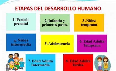 Etapas Del Desarrollo Humano Edades Y Sus Caracteristicas Significados Theme Loader