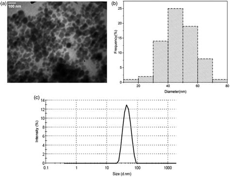 A B Tem Micrograph And Corresponding Size Distribution Histogram Of