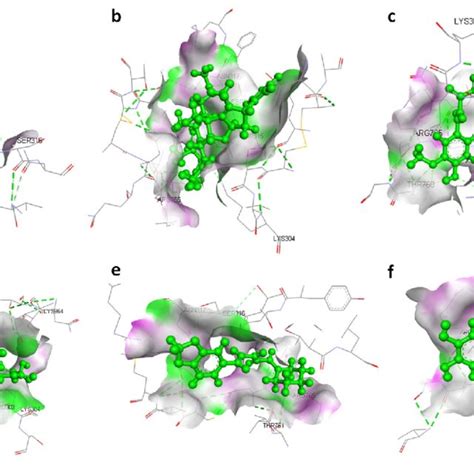 3d Structural Views Of Ligand Binding Site The 3d Structures Display Download Scientific