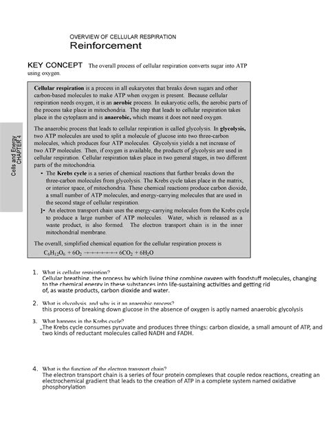 Celluar Respiration This Is A Assignment From Science O Ver View Of Cellular Respiration