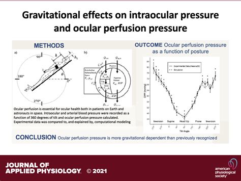 Gravitational Effects On Intraocular Pressure And Ocular Perfusion