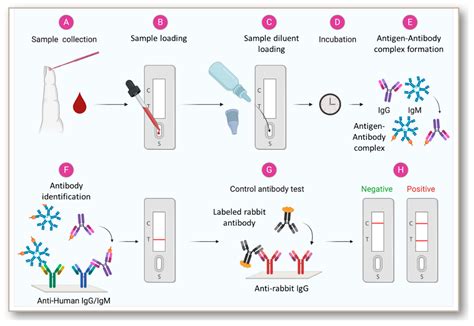 Antigen And Antibody Detection Methods For Microbial Diagnosis At