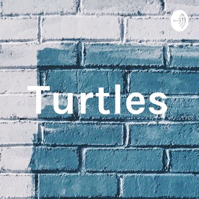 Turtles A Podcast On Spotify For Podcasters