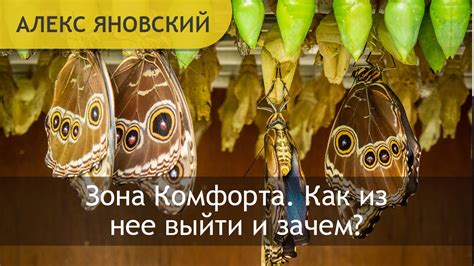 Зона Комфорта, Как Выйти из Этой Зоны Комфорта и Зачем? - YouTube