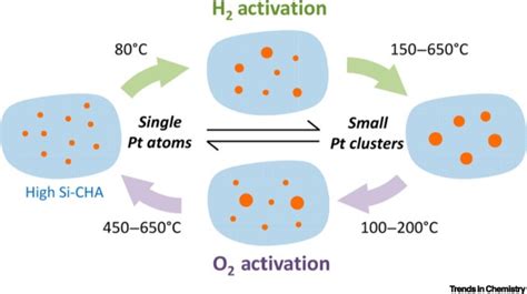 Evolution Of Isolated Atoms And Clusters In Catalysis Trends In Chemistry