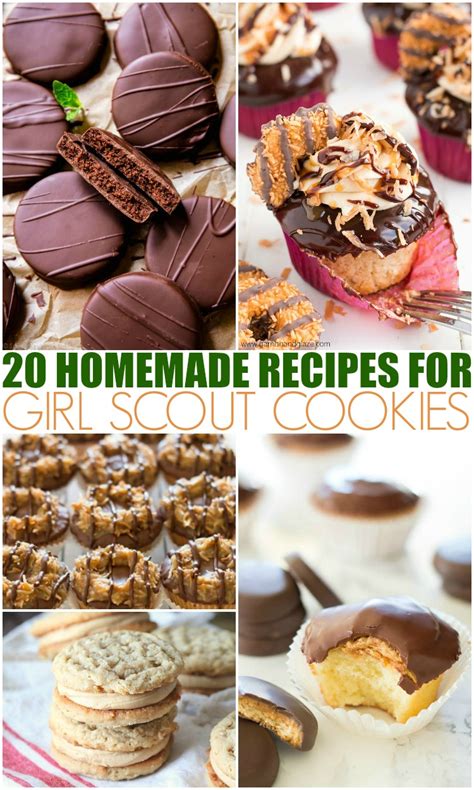 20 Homemade Recipes For Girl Scout Cookies - Mamanista!