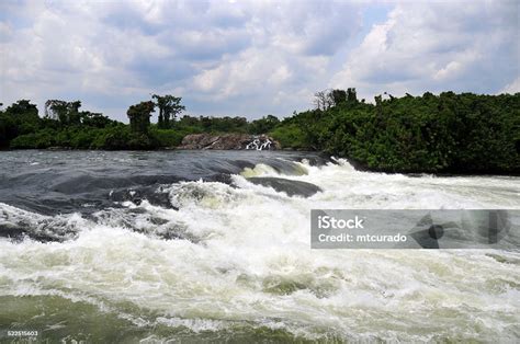 Bujagali Falls Uganda Stock Photo Download Image Now Africa Animal