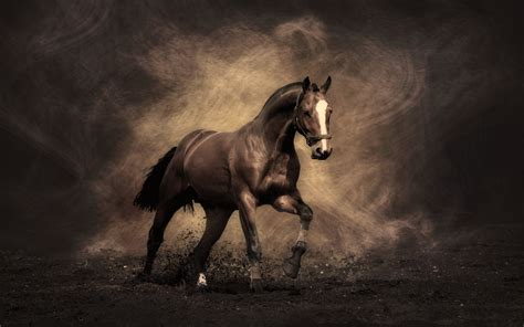 Cool Horse Backgrounds (57+ images)