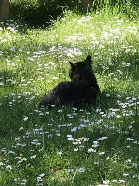 playlist ideas names 8