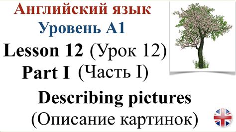 Английский язык Уровень A1 Урок 12 Часть 1 Описание картинок Youtube