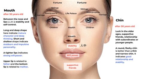 Chinese Face Reading Basics — Picture Healer Feng Shui Craft And Art