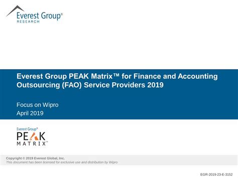 everest group peak matrix  finance  accounting dokumentips